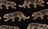 Gold Big Cats