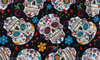 Colourful Sugar Skulls